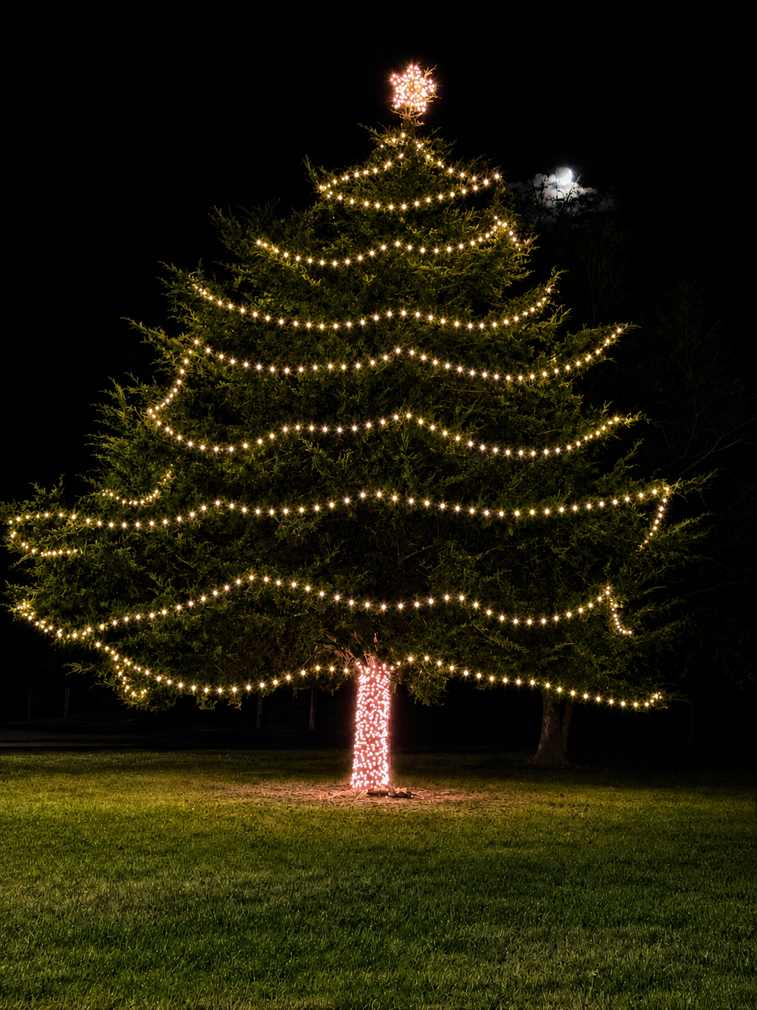 Sheppard home with holiday lighting